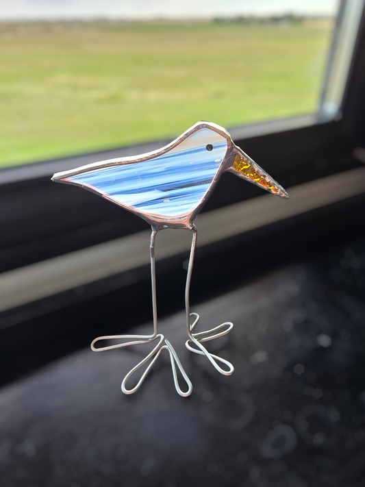 Squirrely Birds: Gary