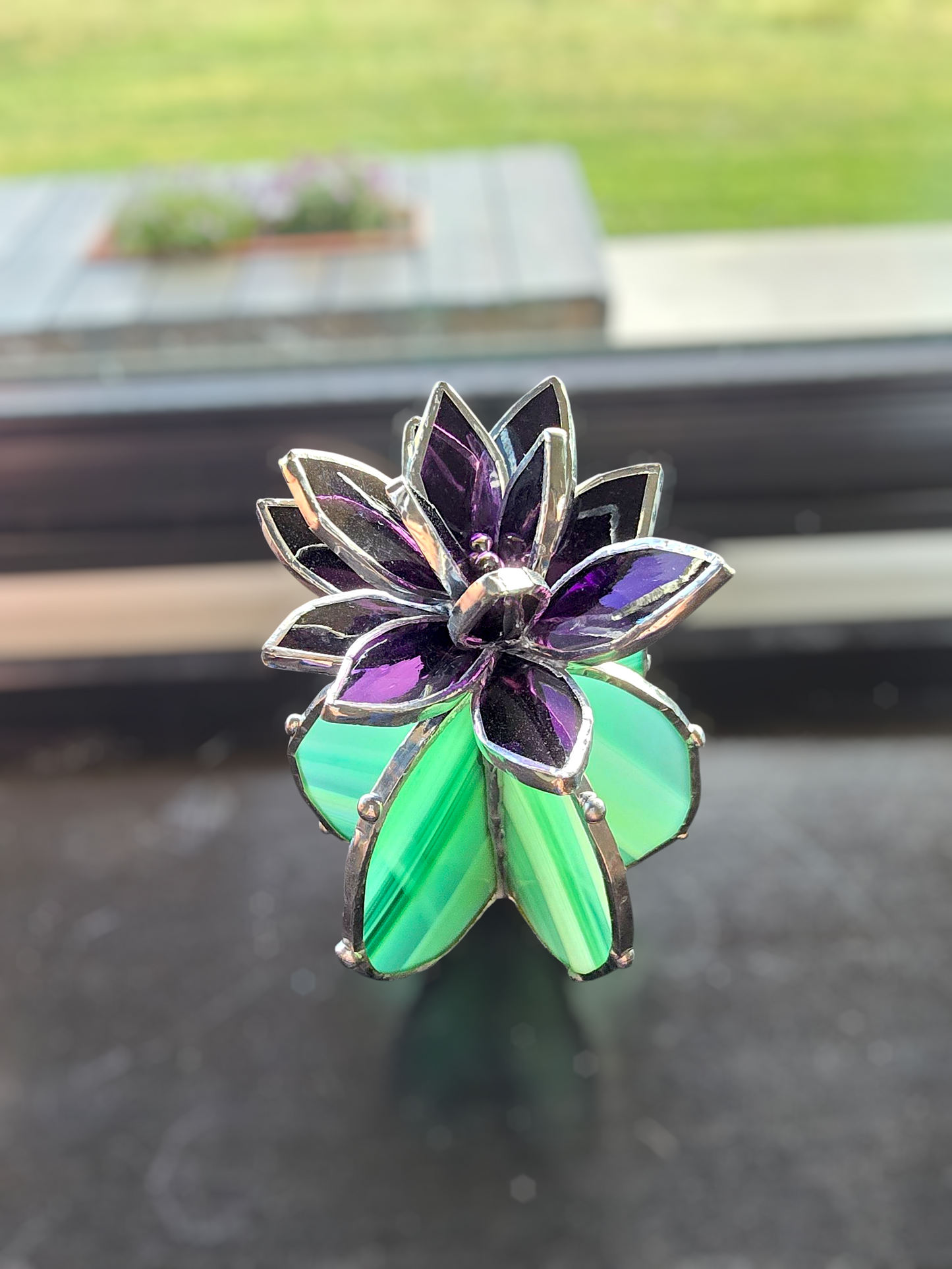 Bright Green Cactus with Purple Flower