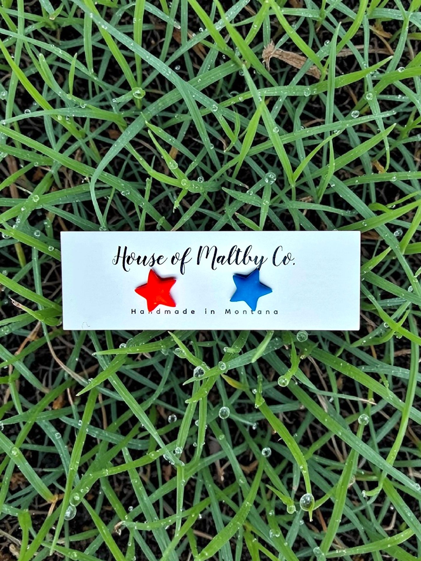 Dainty Star Studs